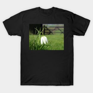 Fritillaria Meleagris Alba T-Shirt